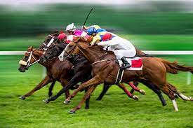 Eat-And-Run Verification is the most reliable horse race betting service online.