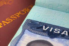 When can you expect to receive your Turkish visa?