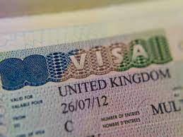 A Comprehensive Guide to Indian Business Visa for UK Citizens and Indian Visa for South African Citizens