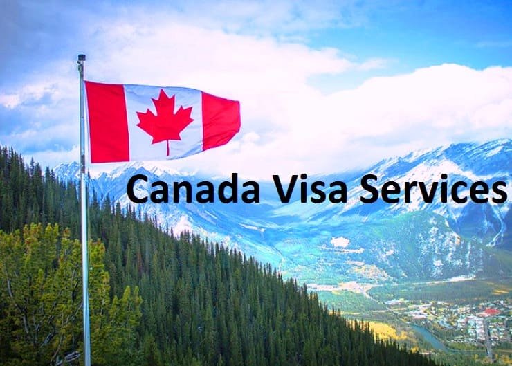 Your Ultimate Guide to Canada Visa for Brazilian Citizens